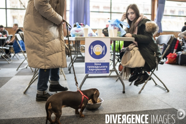 Arrivée des Ukrainiens avec leurs animaux