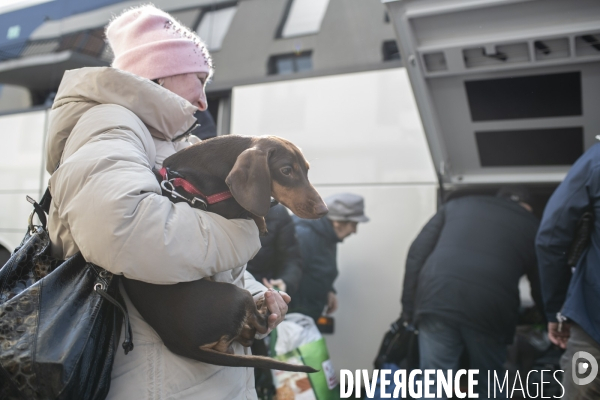 Arrivée des Ukrainiens avec leurs animaux