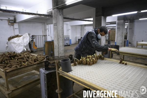 La caverne ferme souterraine