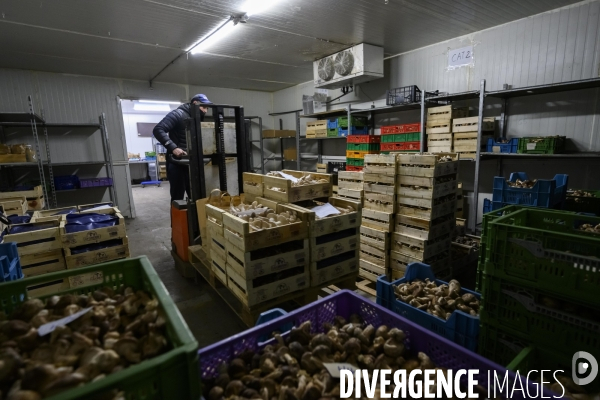 La caverne ferme souterraine