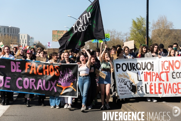 Marche pour le climat