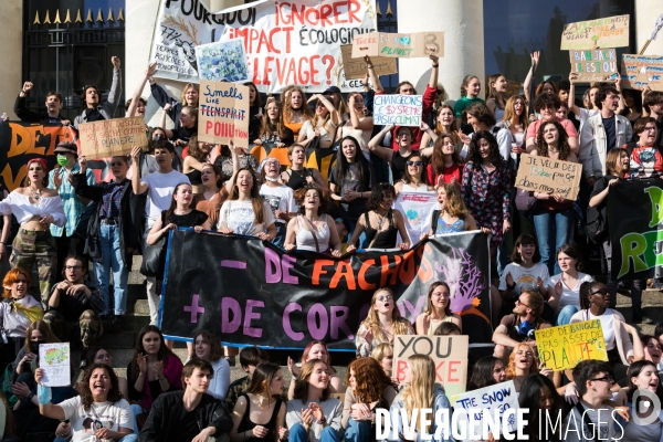 Marche pour le climat