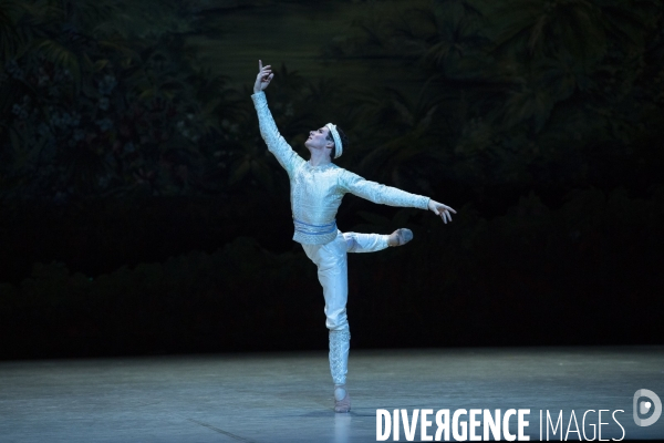 LA BAYADERE de Rudolf Noureev