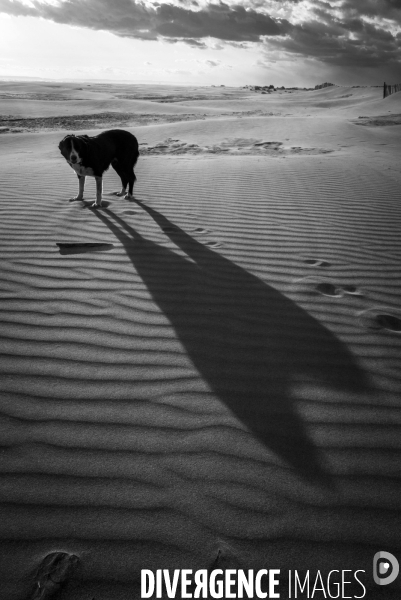 Choses vues: La Plage de l espiguette