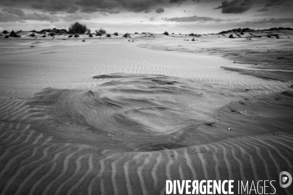 Choses vues: La Plage de l espiguette