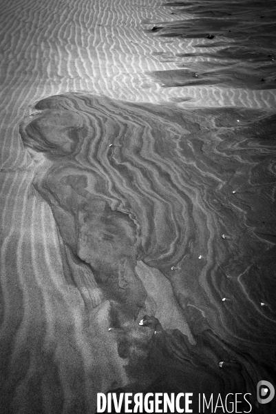 Choses vues: La Plage de l espiguette