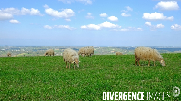 Au pays basque