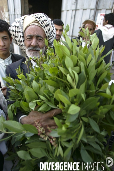 Le khat au yemen