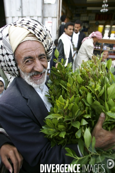 Le khat au yemen