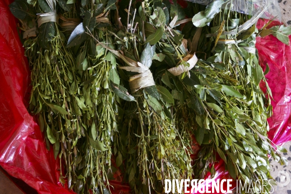 Le khat au yemen