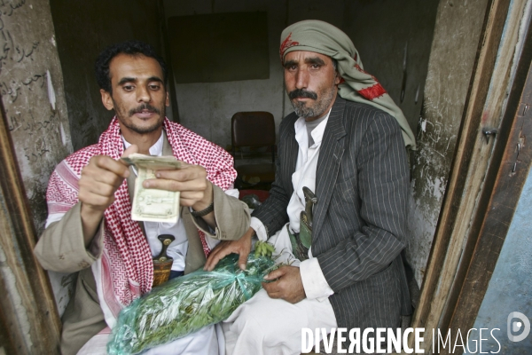 Le khat au yemen
