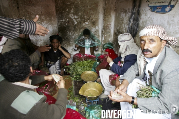 Le khat au yemen