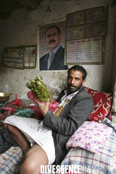 Le khat au yemen