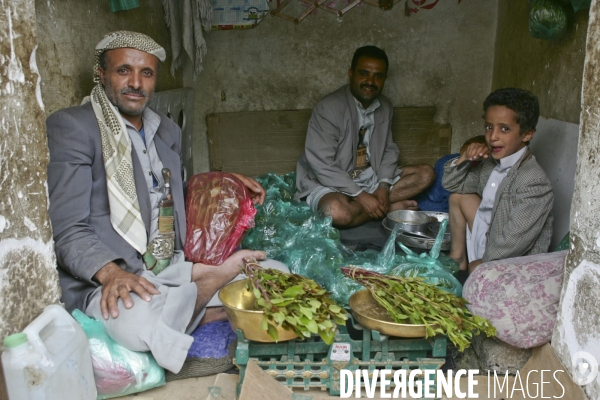 Le khat au yemen