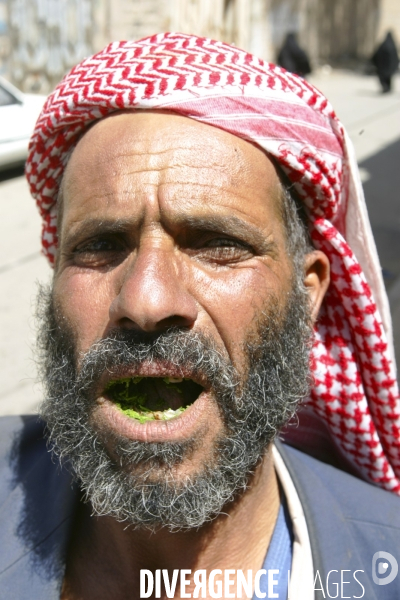 Le khat au yemen