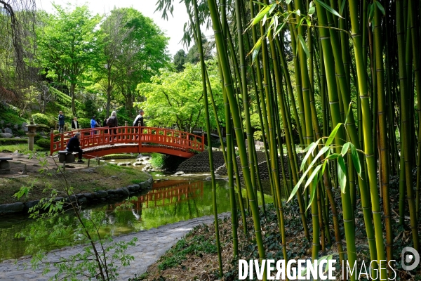 Réouverture du nouveau musée-jardin Albert Kahn.