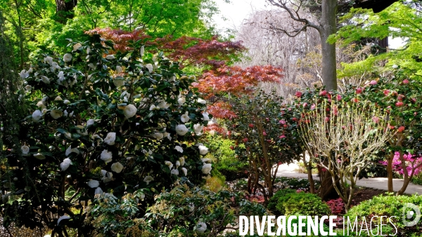 Réouverture du nouveau musée-jardin Albert Kahn.