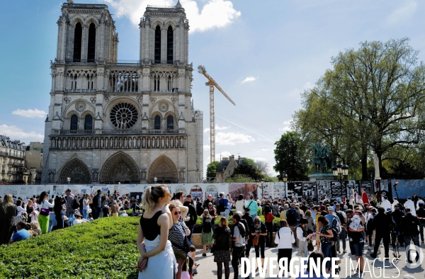 Le Vendredi saint célébré à Notre Dame