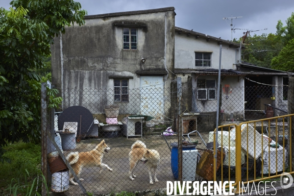 Bienvenue à Hong Kong (2007-2022)