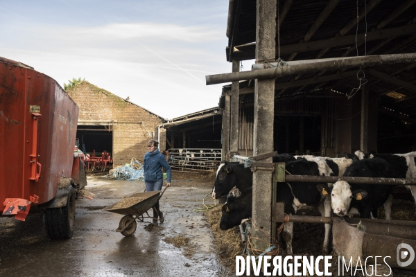 Femmes et agriculture