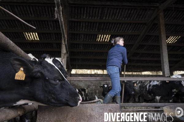 Femmes et agriculture