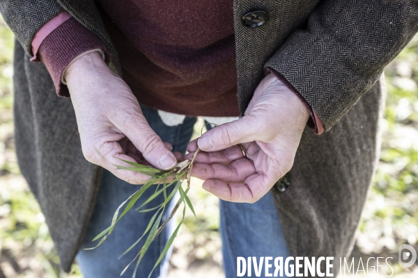 Femmes et agriculture