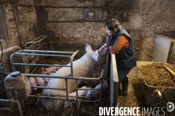 Femmes et agriculture