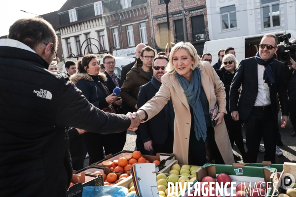 Marine le pen - retour a henin beaumont