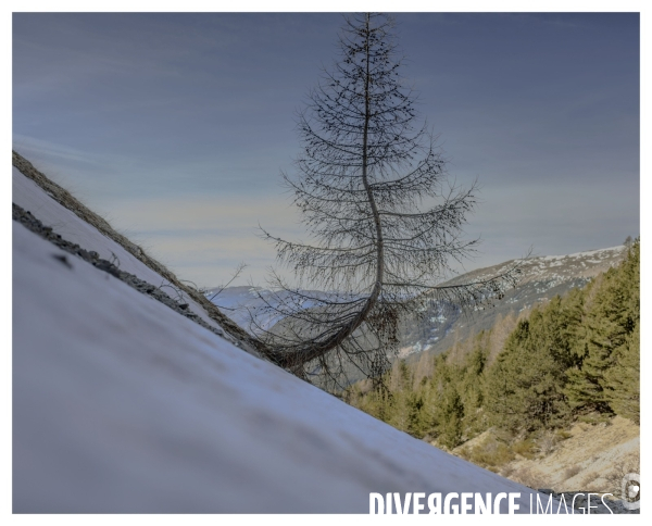 Le long de la Transbassealpine Digne Nice ( l entre deux saisons )