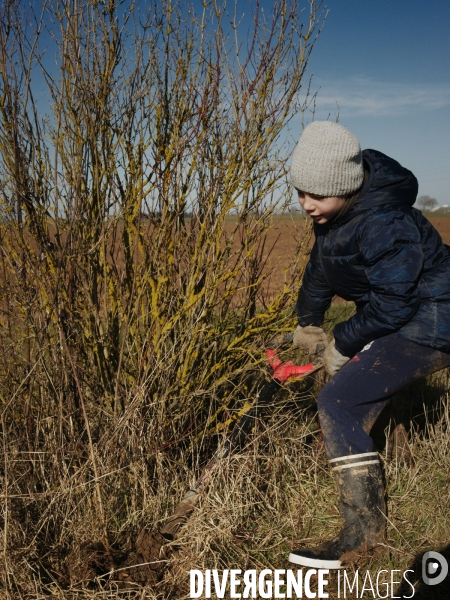 Plantation de haies et d arbres par le collectif Aux Arbres Etc.