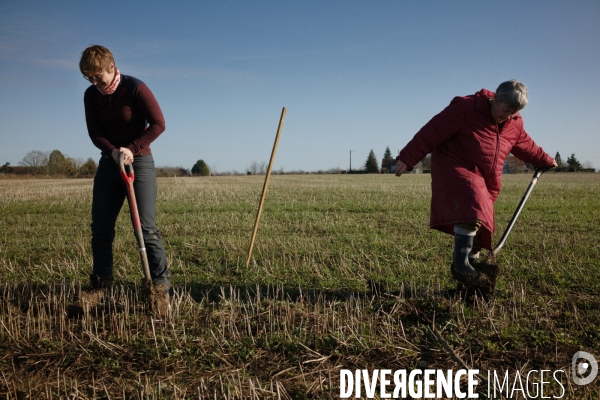 Plantation de haies et d arbres par le collectif Aux Arbres Etc.