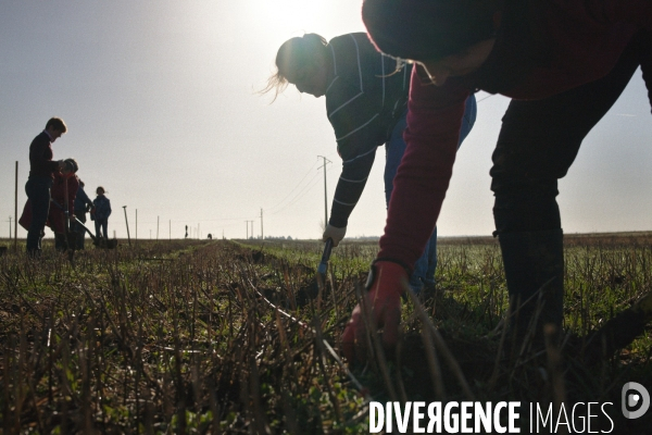 Plantation de haies et d arbres par le collectif Aux Arbres Etc.