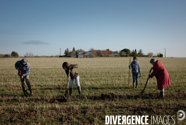 Plantation de haies et d arbres par le collectif Aux Arbres Etc.