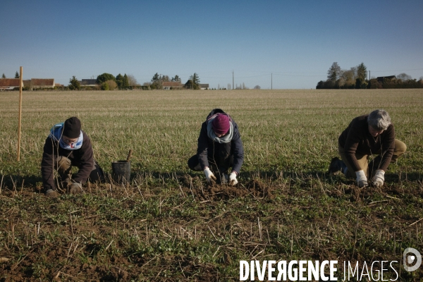 Plantation de haies et d arbres par le collectif Aux Arbres Etc.