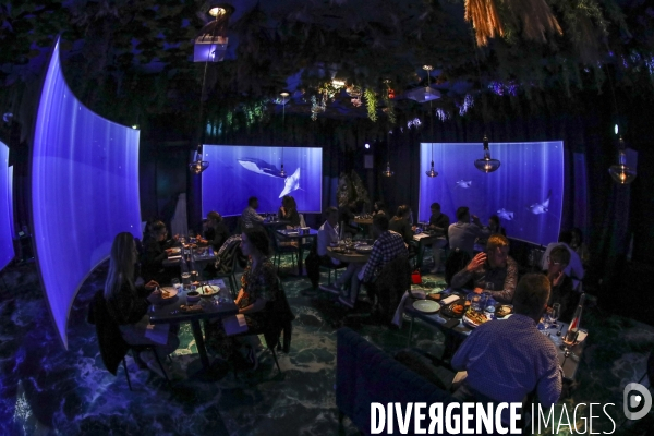 Under the sea premier restaurant immersif de paris