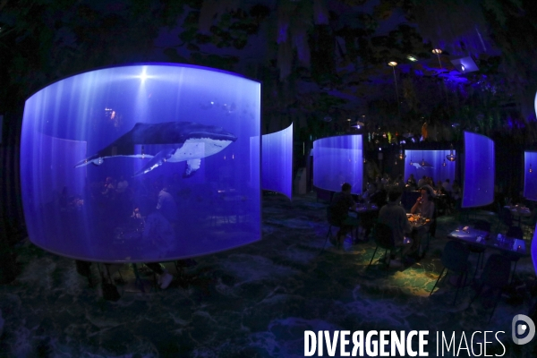 Under the sea premier restaurant immersif de paris