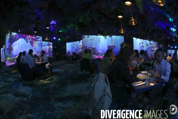 Under the sea premier restaurant immersif de paris