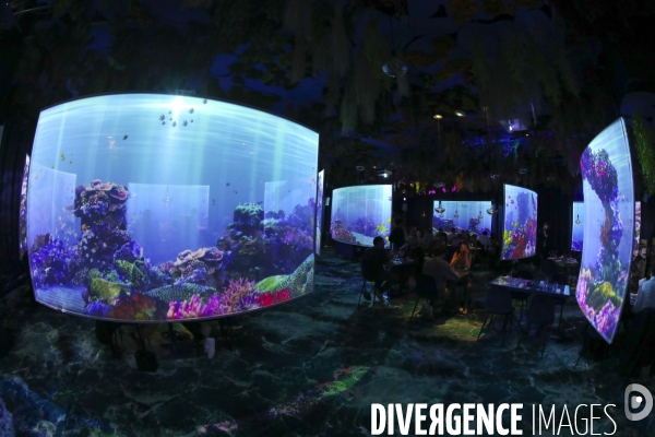 Under the sea premier restaurant immersif de paris