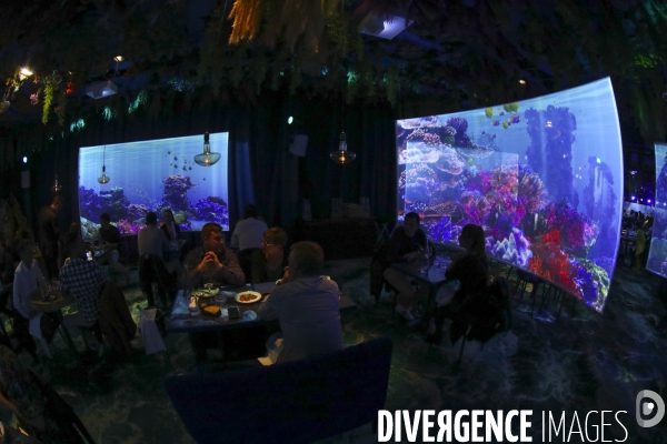 Under the sea premier restaurant immersif de paris