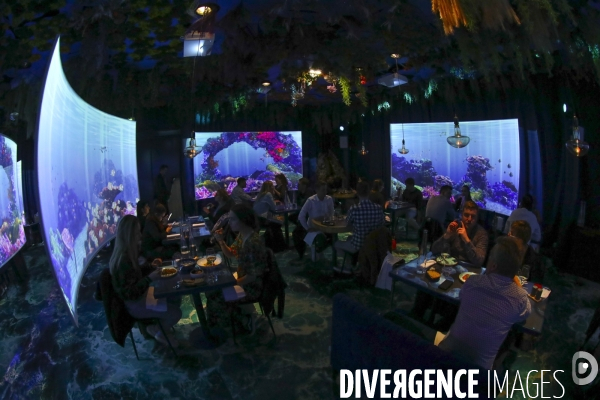 Under the sea premier restaurant immersif de paris