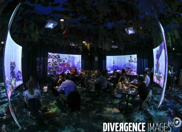 Under the sea premier restaurant immersif de paris