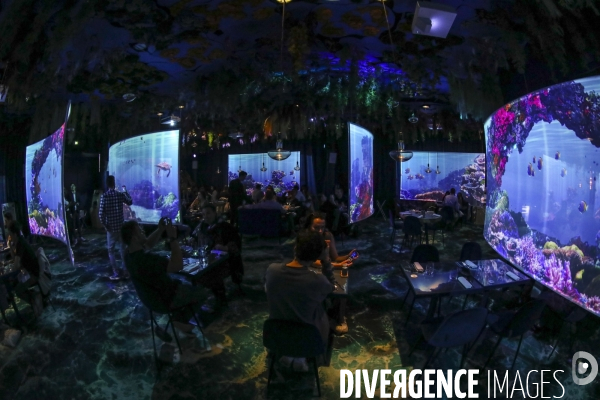 Under the sea premier restaurant immersif de paris