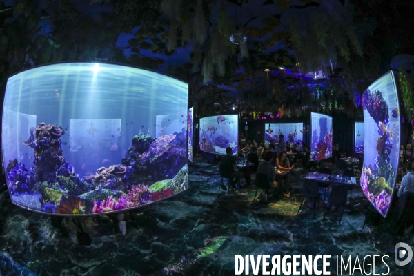 Under the sea premier restaurant immersif de paris