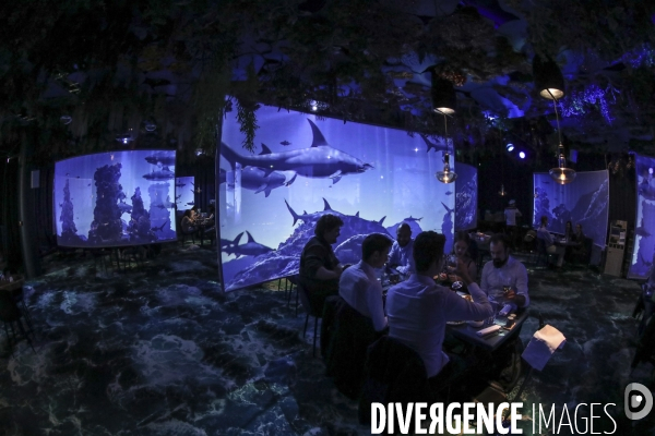 Under the sea premier restaurant immersif de paris