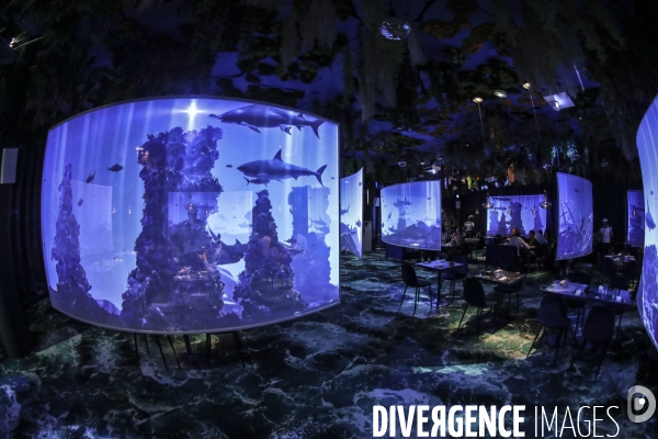 Under the sea premier restaurant immersif de paris