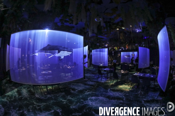 Under the sea premier restaurant immersif de paris