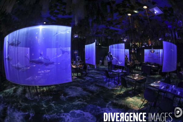 Under the sea premier restaurant immersif de paris