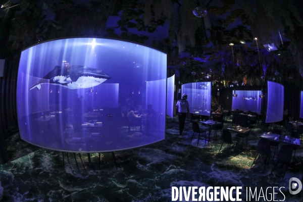 Under the sea premier restaurant immersif de paris