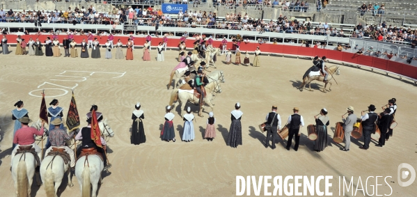 La course camarguaise