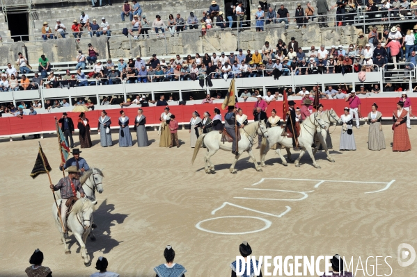 La course camarguaise